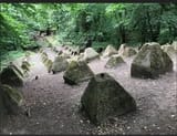 dragon_teeth