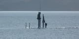 Akula