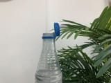 agiant-step-for-plastic-kind-1024x768