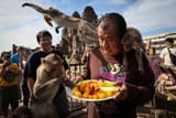 2024-11-13T230056Z_1242297988_RC2QK4AWW497_RTRMADP_3_THAILAND-MONKEYS-LOPBURI-1731999093