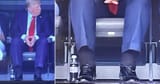 trump ankles