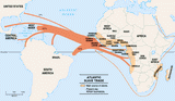 african slave trade