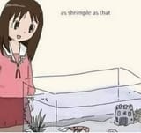 shrimple