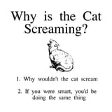 whyisthecat