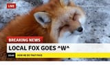 fox98465246072
