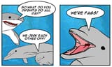 dolphin_pride