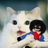 Nigger Cat holding a wog doll