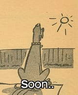 Marmaduke plots his conquest of the Sun