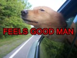 feels good