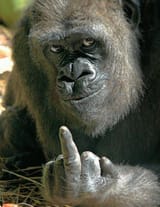 finger