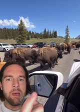 yellowstonehappening