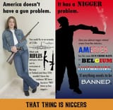 nigger problem