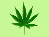 0420MarijuanaHeart_SC
