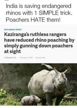 india rhino population saved by gunning down poachers. violence is always the answer, violence solves everything