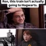 TrainToAuschwitzHarryPotter