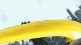 banana