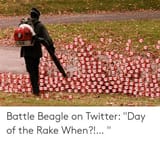 day of the rake