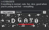 gay