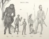 Baal_Hybrids