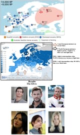 Modern Northern Europeans