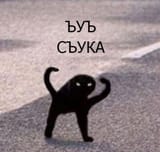 1708802036825579