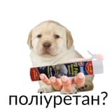 poly