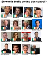 gun control irish