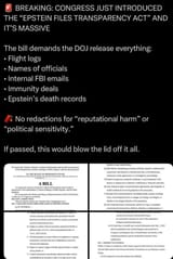 epstein files transparency act