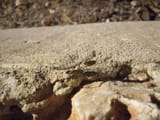 IMG_20250716_202516