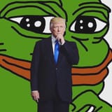 pepe trump