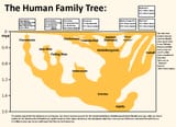 ancestry human population ghost population neanderthal denisovan