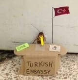 turkroach at DuckDuckGo