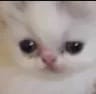 awe