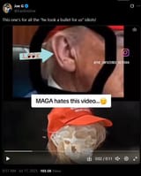 fake