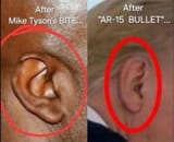 Bite vs Bullet