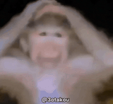 giphy