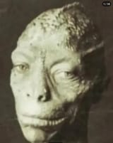Screenshot_20250717_180144_Reddit