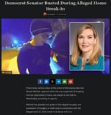 Screenshot 2025-07-17 at 17-29-24 Democrat Senator Bust[...]