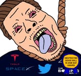 Elon2