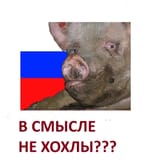 1736892953023584