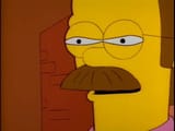 ned