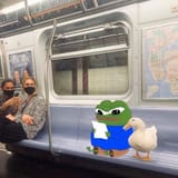 pepe and goose