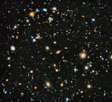 SPACE LIZARDS