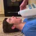 dog milk bowl_thumb.jpg
