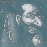 weather-merchant