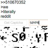 soy