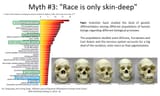 race skin deep
