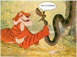 kaa