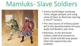 mamluks_turks