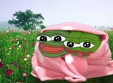 apu frenship is power_1724669473051222